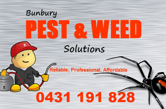 Bunbury Pest & Weed Solutions | home goods store | 10 Lofthouse Ave, Eaton WA 6232, Australia | 0431191828 OR +61 431 191 828