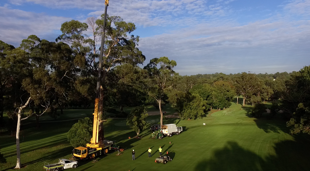 Priority Tree Services | general contractor | 3/23 Leighton Pl, Hornsby NSW 2077, Australia | 0294825353 OR +61 2 9482 5353