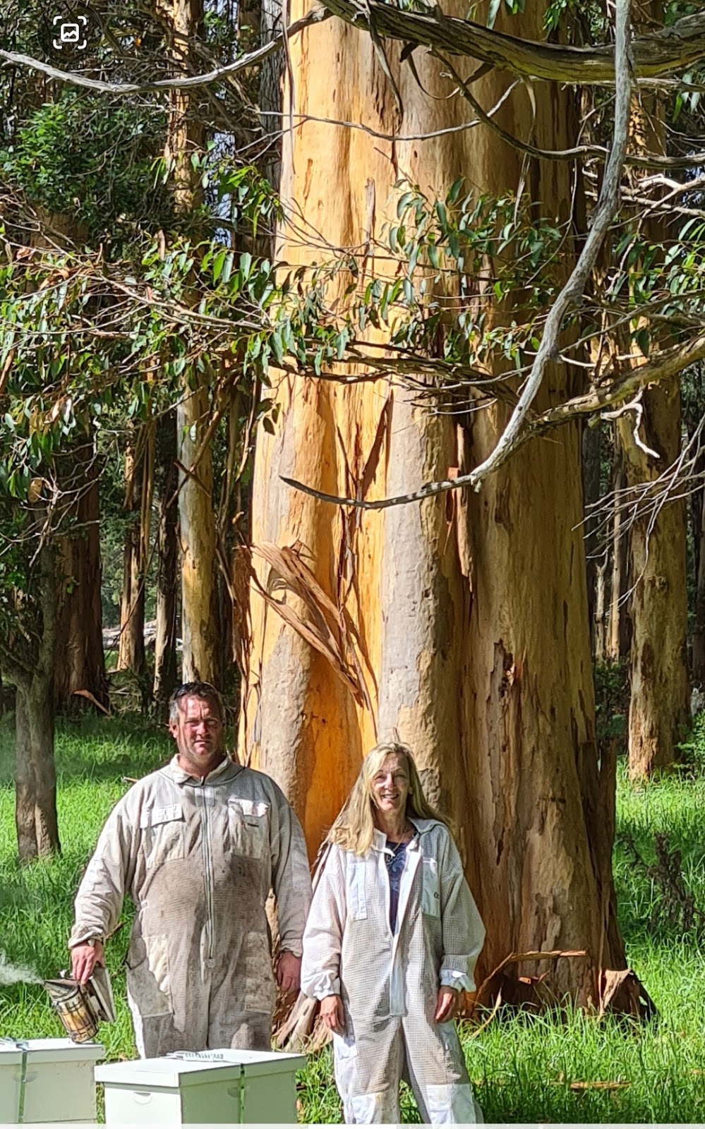 Valley of the Giants Honey |  | 993 Valley of the Giants Rd, Tingledale WA 6333, Australia | 0412251324 OR +61 412 251 324