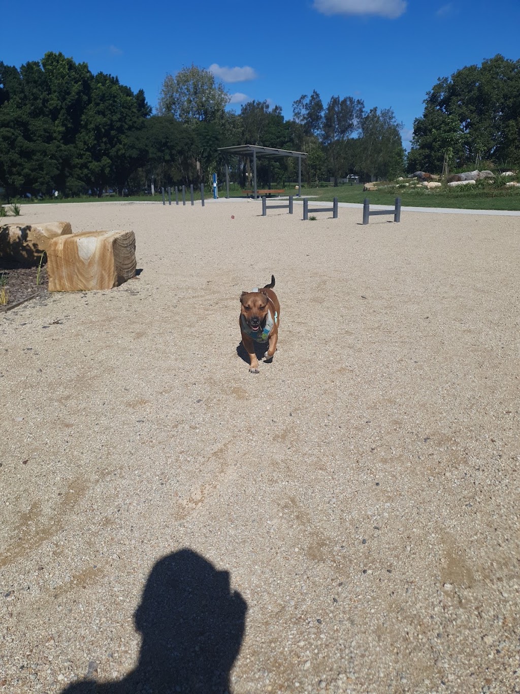 Affordable Pet Care | 37A Mary St, Grafton NSW 2460, Australia | Phone: 0426 964 876