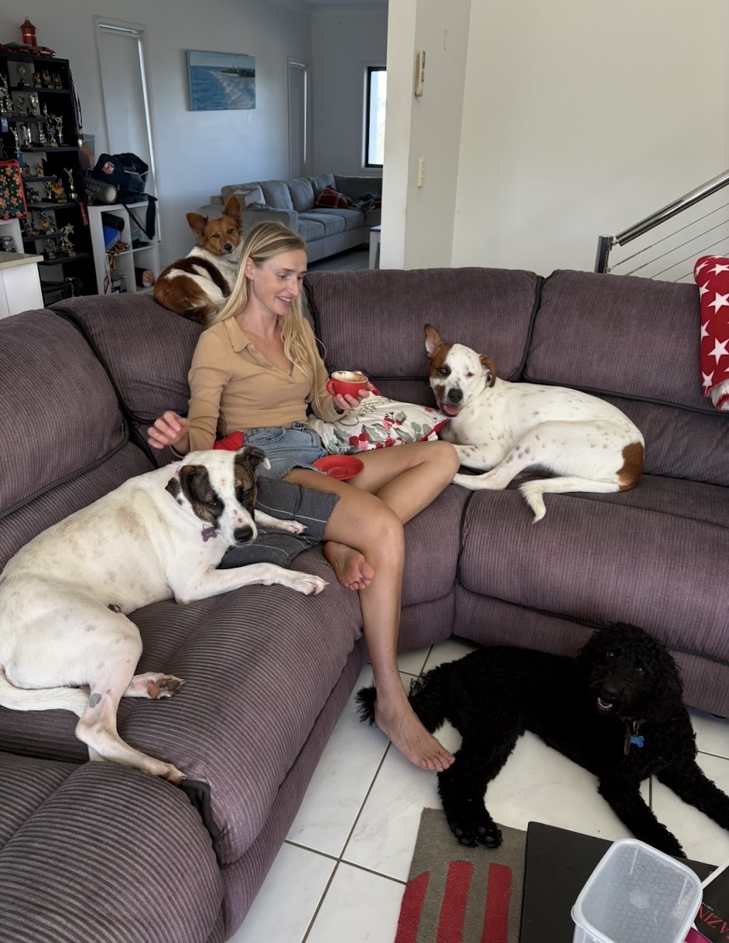 Paw-some Dog Care | Warrego Pl, Terranora NSW 2486, Australia | Phone: 0493 175 455