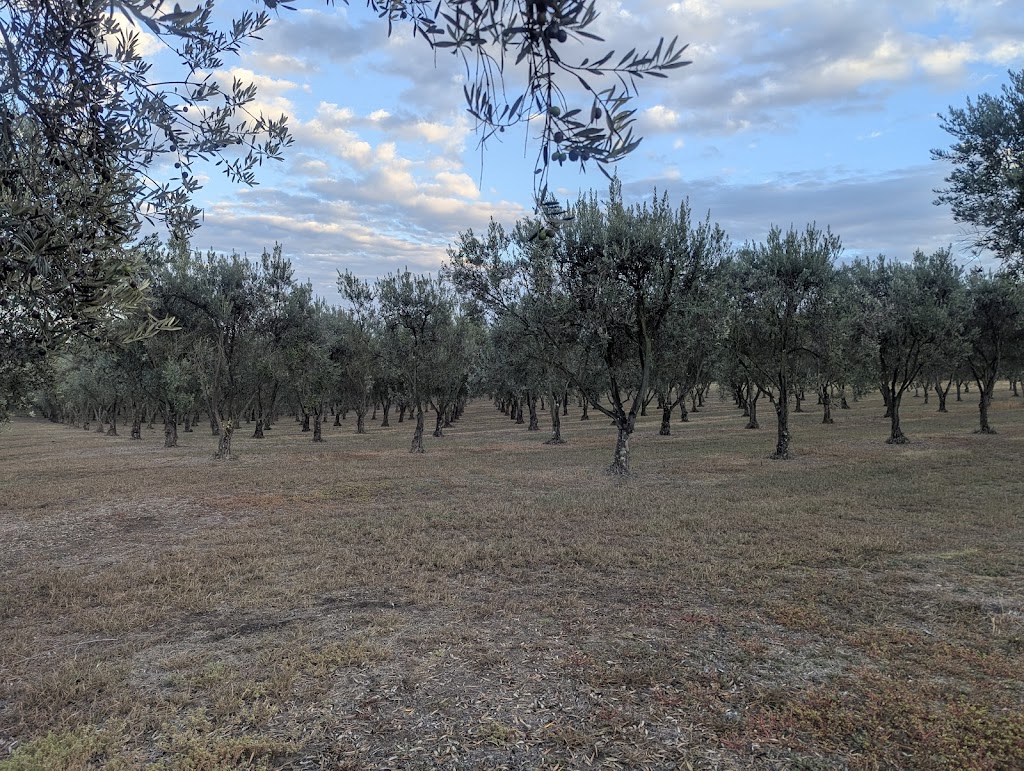 Manzanillo Grove Luxury Accommodation | 90 Drakes Rd, Drysdale VIC 3222, Australia | Phone: 0417 517 121