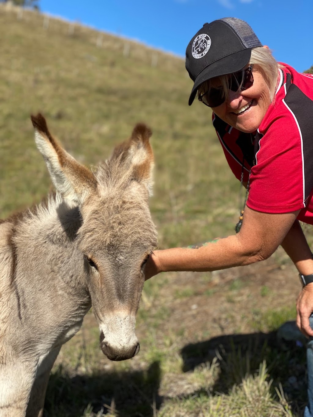 Last Stop Donkey Program | 119A Minimbah Dr, Whittingham NSW 2330, Australia | Phone: 0400 622 244