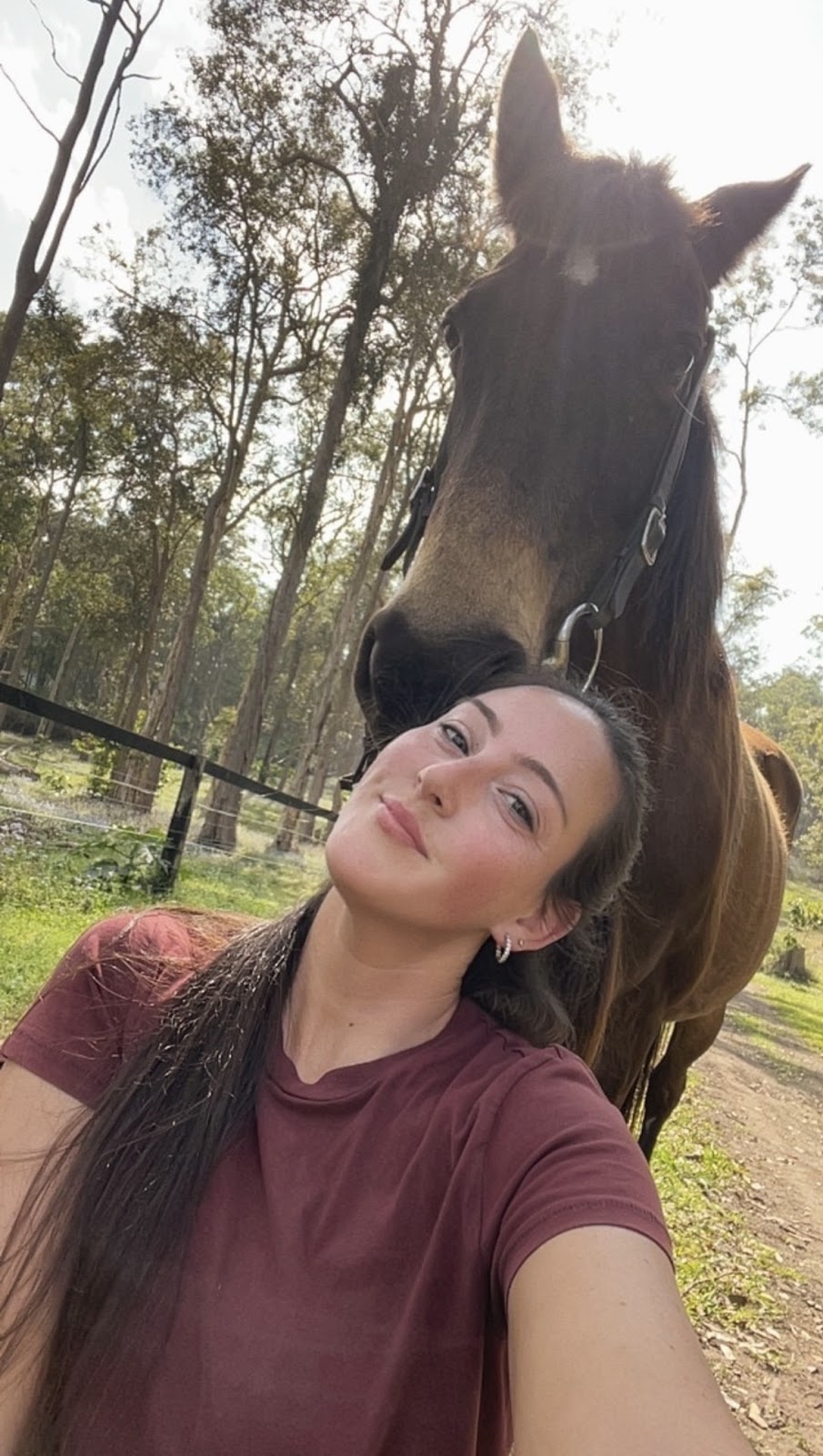 Dezigna Lodge Horsemanship | 1 Nonmus Rd, Stanmore QLD 4514, Australia | Phone: 0429 337 716