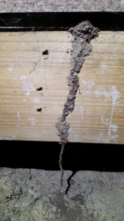 Noah’s Ark Termite Treatment - Maribyrnong | home goods store | 6 Saltwater Cres, Maribyrnong VIC 3032, Australia | 0393722670 OR +61 3 9372 2670