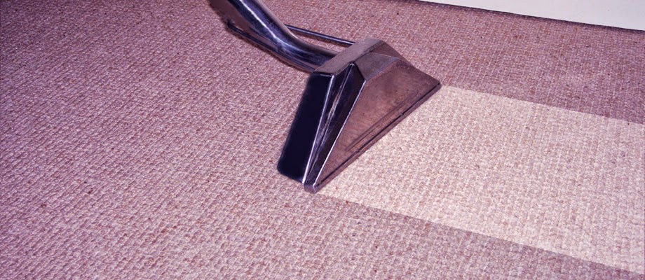 Aussie Carpet Cleaning Pest Control & Carpet Cleaning Sunshine C | laundry | 2 Hastings Pl, Buderim QLD 4556, Australia | 0432091959 OR +61 432 091 959