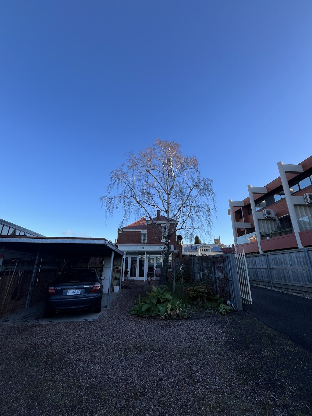 Tiger tree care | 90 Carlton Beach Rd, Dodges Ferry TAS 7173, Australia | Phone: 0457 585 139