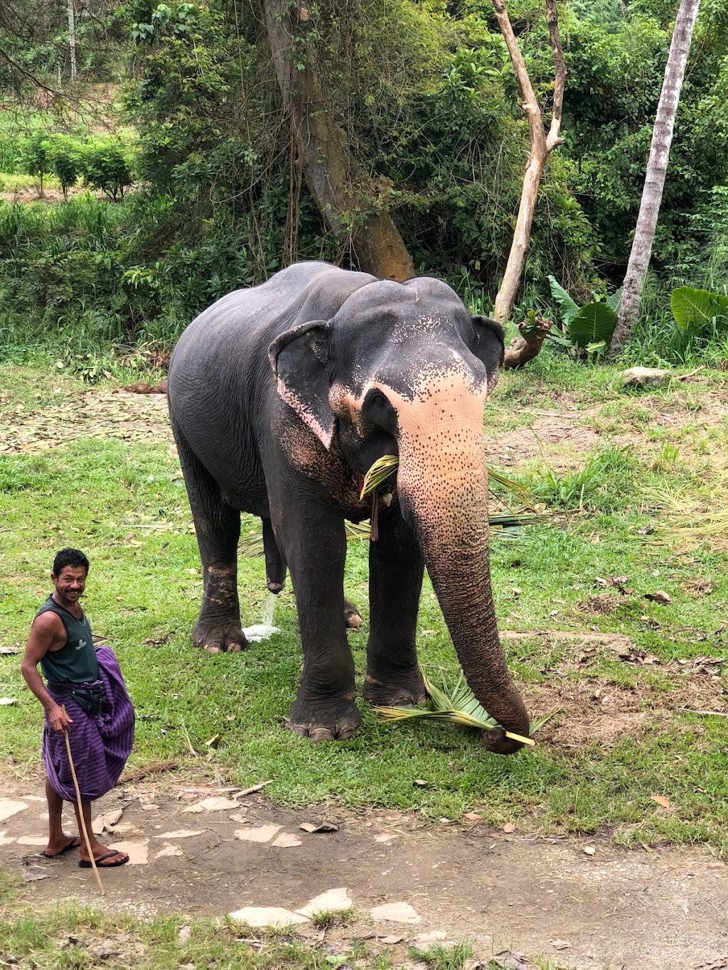 Hentyfarm Wine & Luxury Travel | 250 Wattle Tree Rd, Holgate NSW 2250, Australia | Phone: 0423 029 200