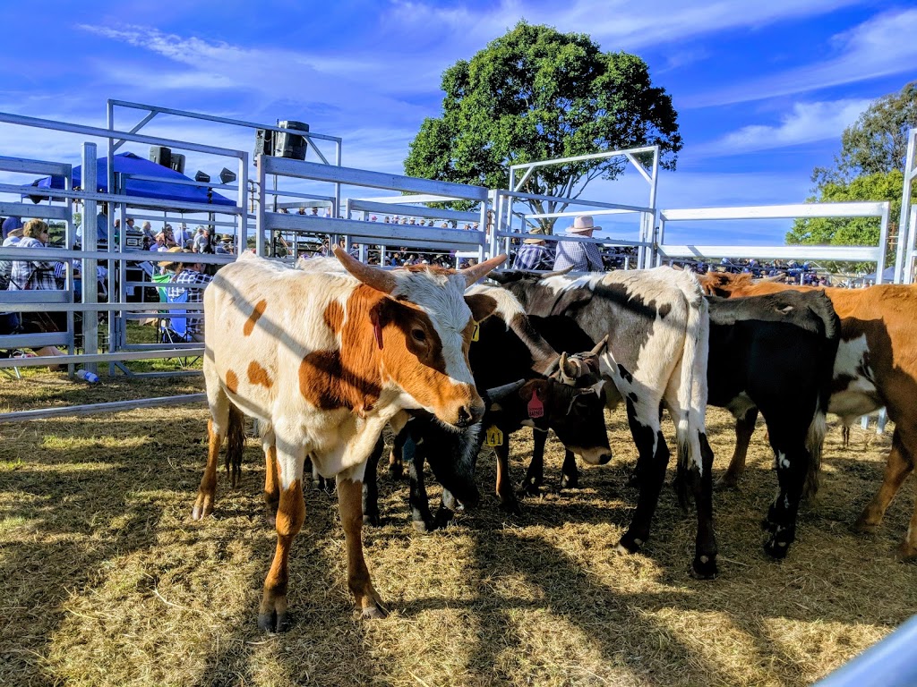 Teebar Sports & Recreation Grounds | Teebar Hall Rd, Teebar QLD 4620, Australia | Phone: 1300 794 929