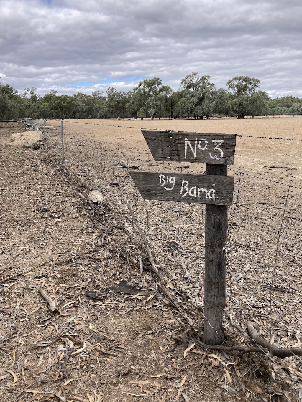 Gate 2 - Tooranie Stay Camp, and Glamp | Old Barmah Rd, Moama NSW 2731, Australia | Phone: 0425 875 029