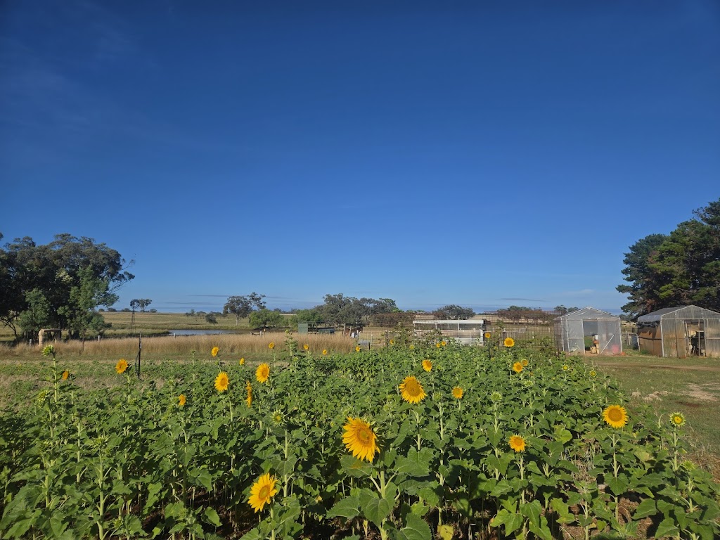 The Farm Hub | 50 Havilah Park Rd, Little Plain NSW 2360, Australia | Phone: (02) 6722 4347