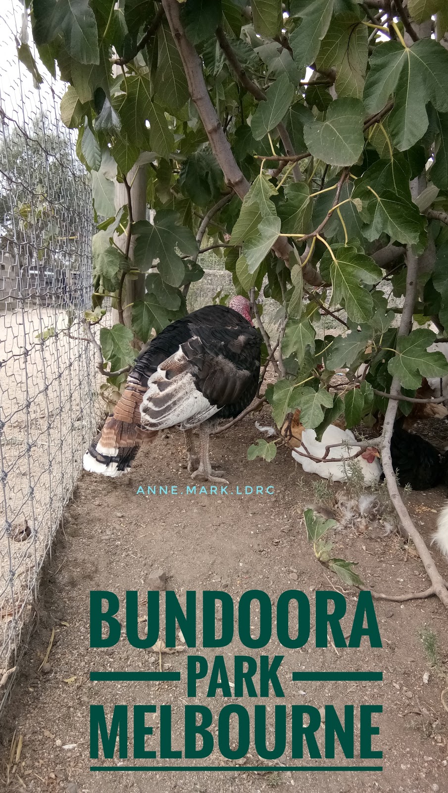 Bundoora Urban Farm | Bundoora VIC 3083, Australia