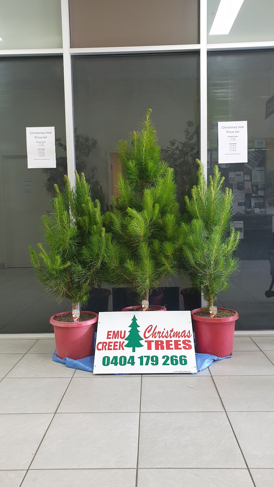 Emu Creek Christmas trees | 540 Mannes Ln, Emu Creek VIC 3551, Australia | Phone: 0404 179 266