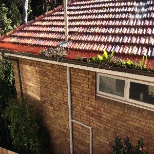 Easy Fall Guttering | roofing contractor | 1/2 Watson Rd, Padstow NSW 2211, Australia | 0245776799 OR +61 2 4577 6799