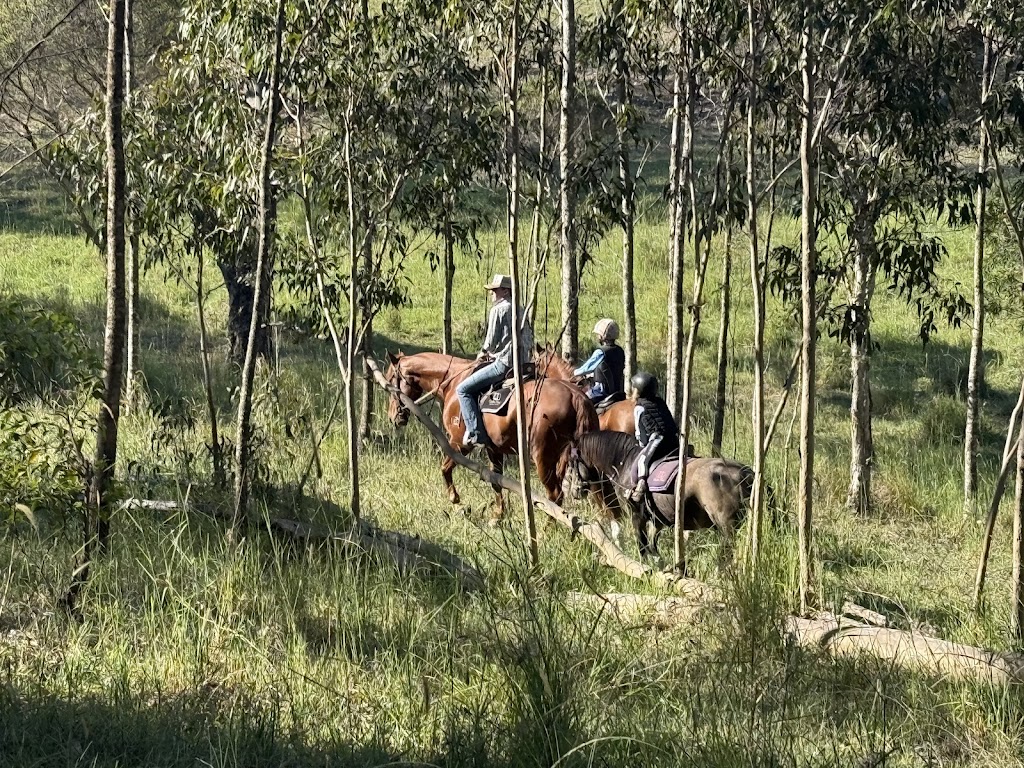 Voller Park Breaking & Training | 126 Halloran Rd, North Arm Cove NSW 2324, Australia | Phone: 0413 454 865