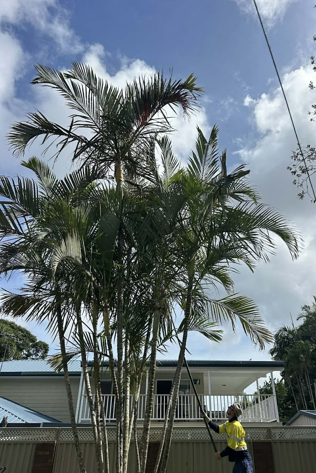 Golden Cane lawns | 9 Rosella St, Wellington Point QLD 4160, Australia | Phone: 0415 190 092