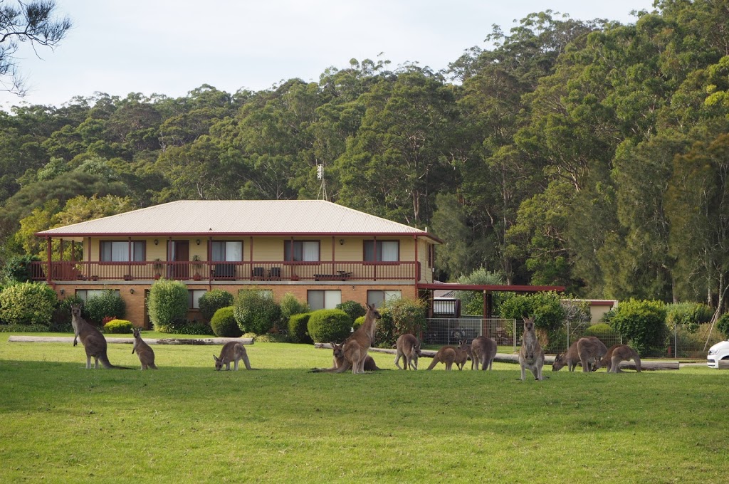 Murramarang National Park | park | East Lynne NSW 2536, Australia