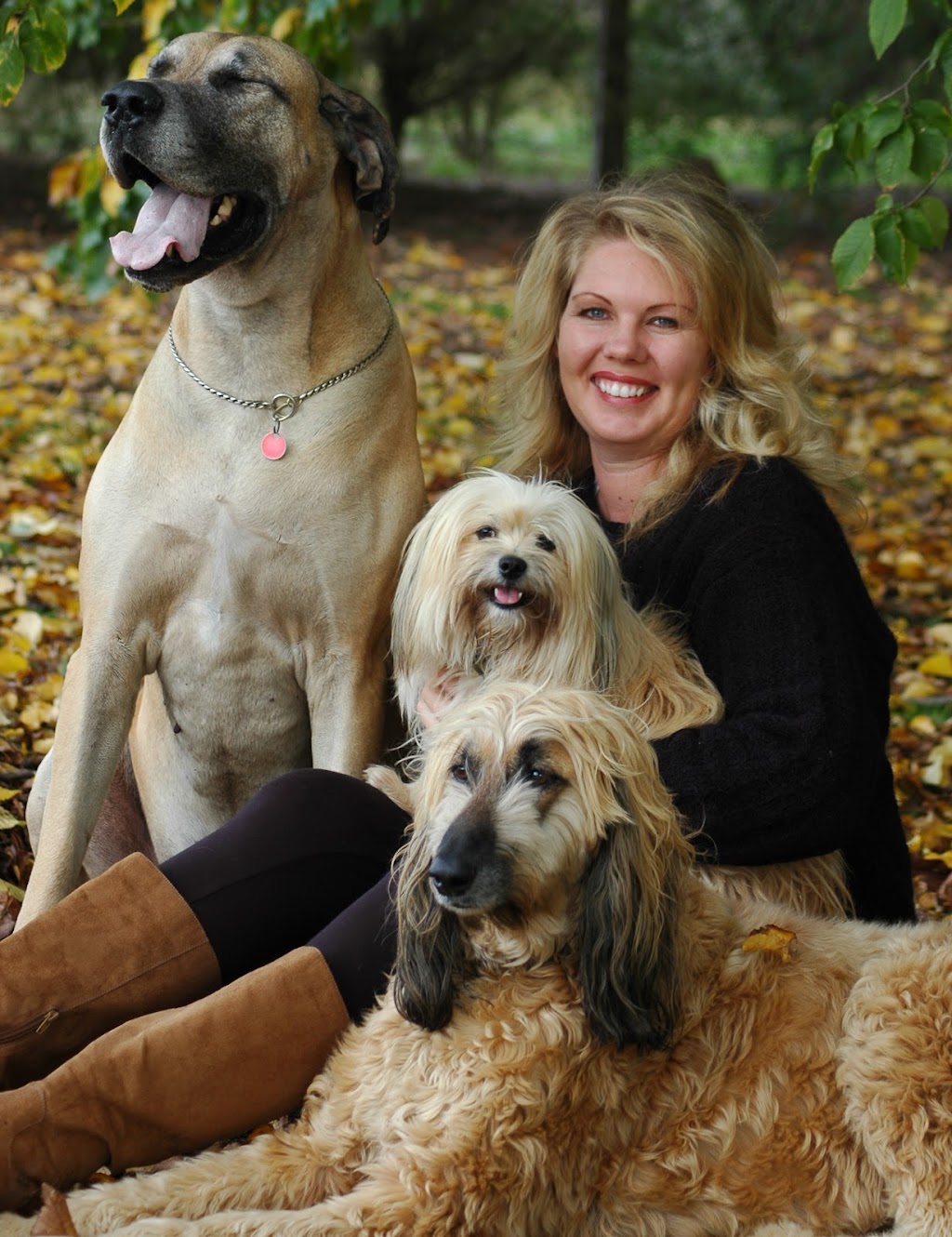 Assistance Puppies Victoria Bendigo Dog training - 360 Canny Rd