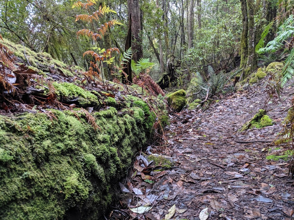 Mount Gnomon | Mount Dial Track, Penguin TAS 7316, Australia