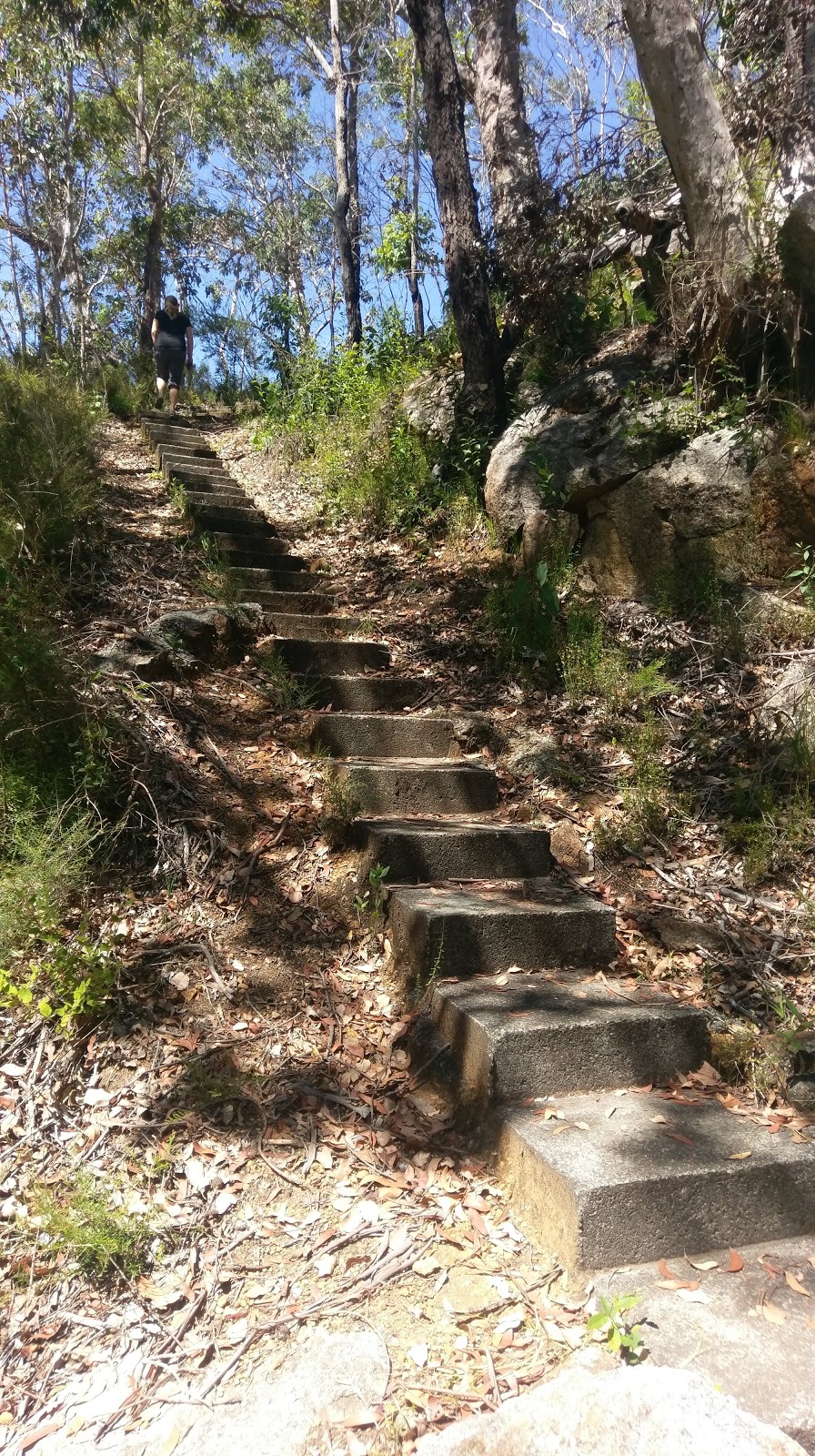 Mount Frankland National Park | park | North Walpole WA 6398, Australia