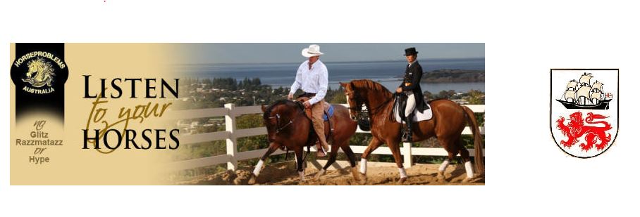 Horseproblems Australia | 105 Ferrier Dr, Waitpinga SA 5211, Australia | Phone: 0418 814 029