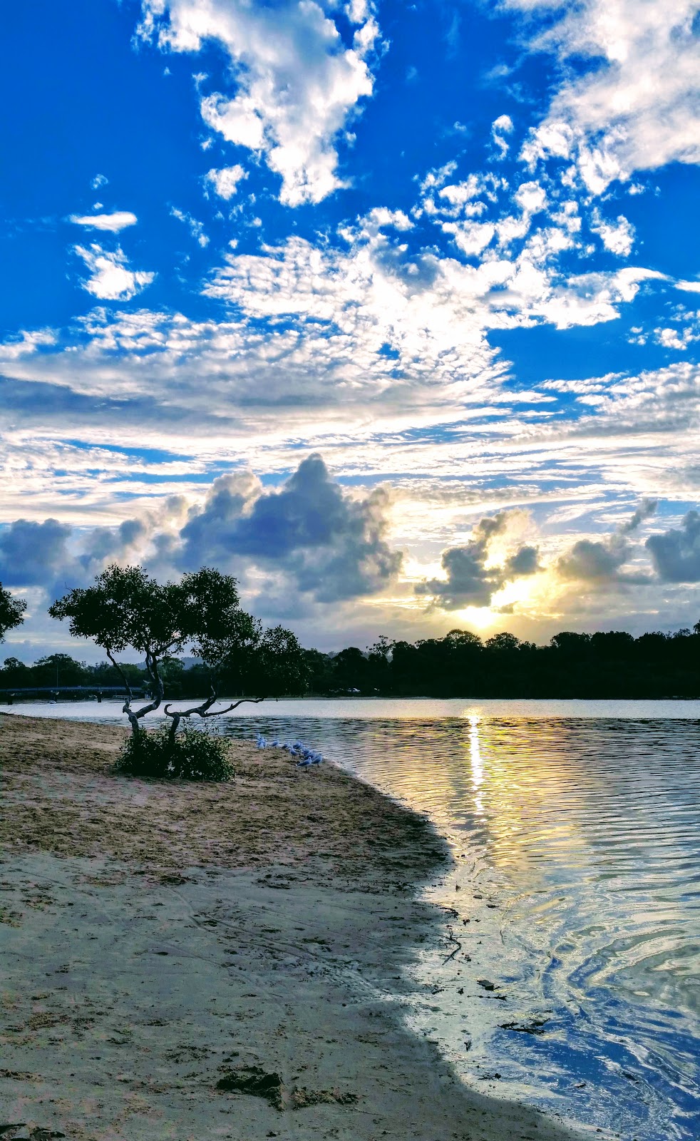 Winders Park | Currumbin QLD 4223, Australia