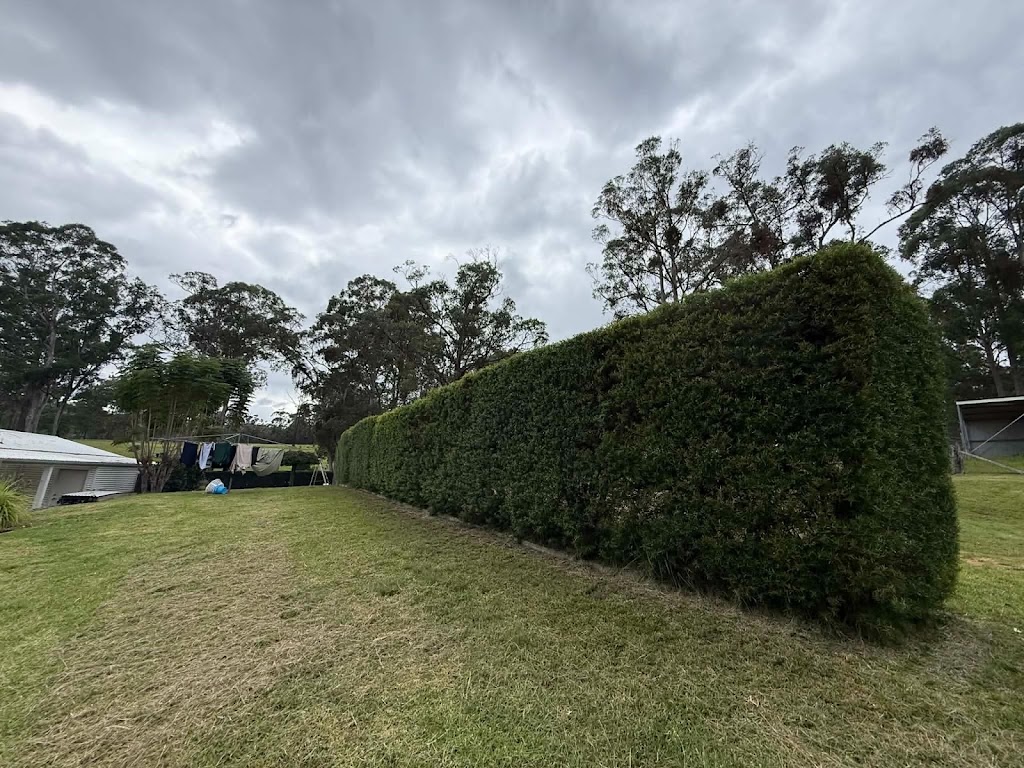 LEEVIS TREE AND YARD SERVICES | 766 Wagonga Scenic Dr, Narooma NSW 2546, Australia | Phone: 0474 755 173