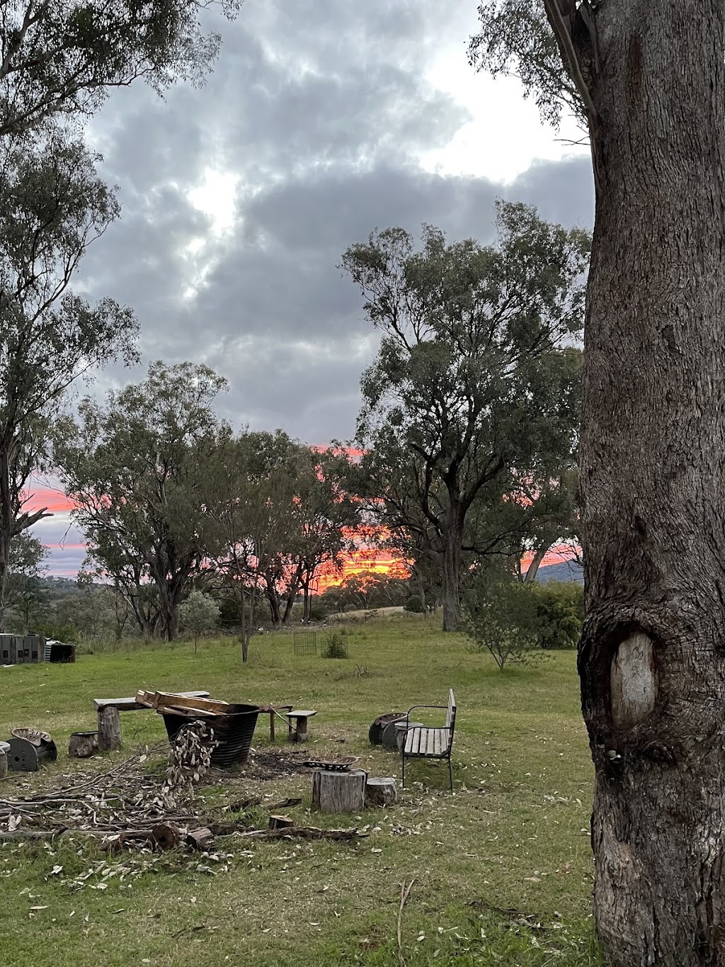 Little House in the Nursery | 50 MacDonald St, Wallabadah NSW 2343, Australia | Phone: 0414 851 302