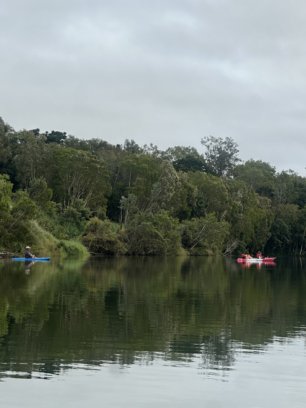 Platypus Adventures | 2270 Mackay Eungella Rd, Mirani QLD 4754, Australia | Phone: 0427 210 605