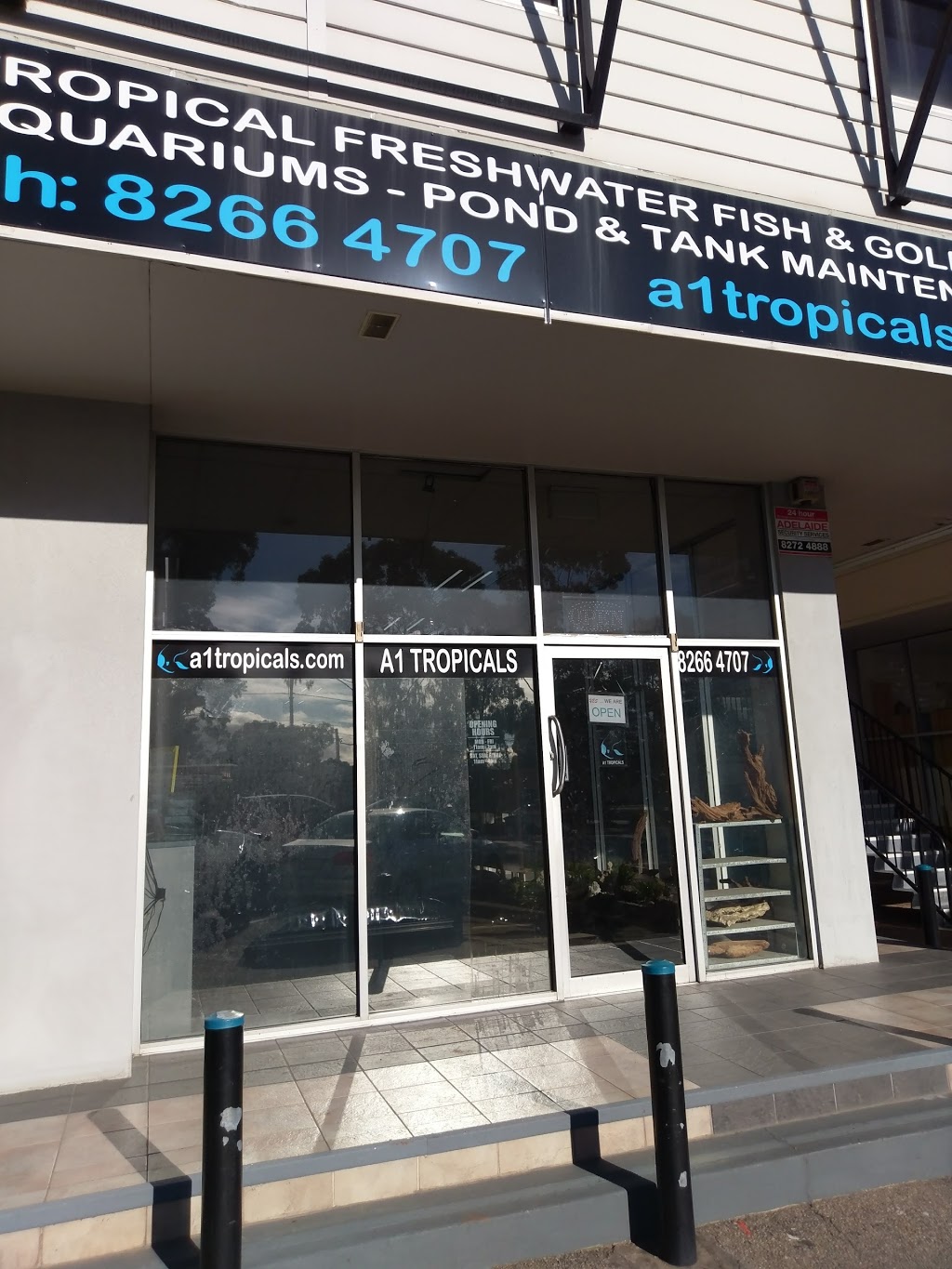 A1 Tropicals | pet store | 560 North East Road, Holden Hill SA 5088, Australia | 0882664707 OR +61 8 8266 4707