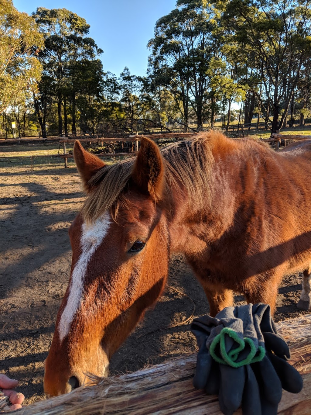 Highland Farm Stays | Tugalong Rd, Bangadilly NSW 2577, Australia | Phone: 0425 208 783