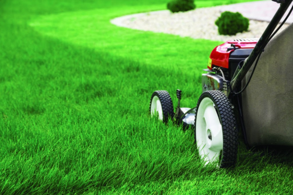 Wollongong Lawn Mowing | general contractor | 2/69 Midgley St, Corrimal NSW 2518, Australia | 0238138757 OR +61 2 3813 8757