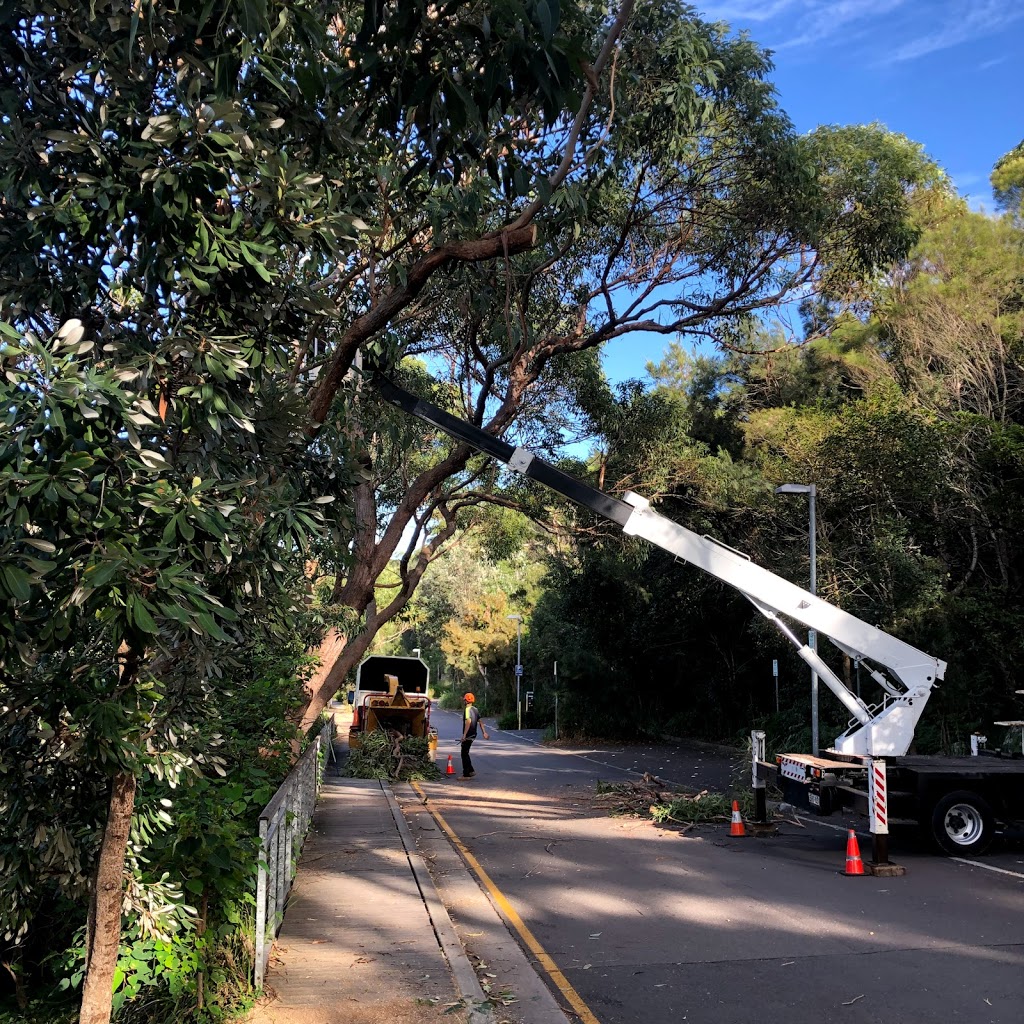 Mulch and Tree Removal Service | Woodlark Pl, Glenfield NSW 2167, Australia | Phone: 0415 341 717