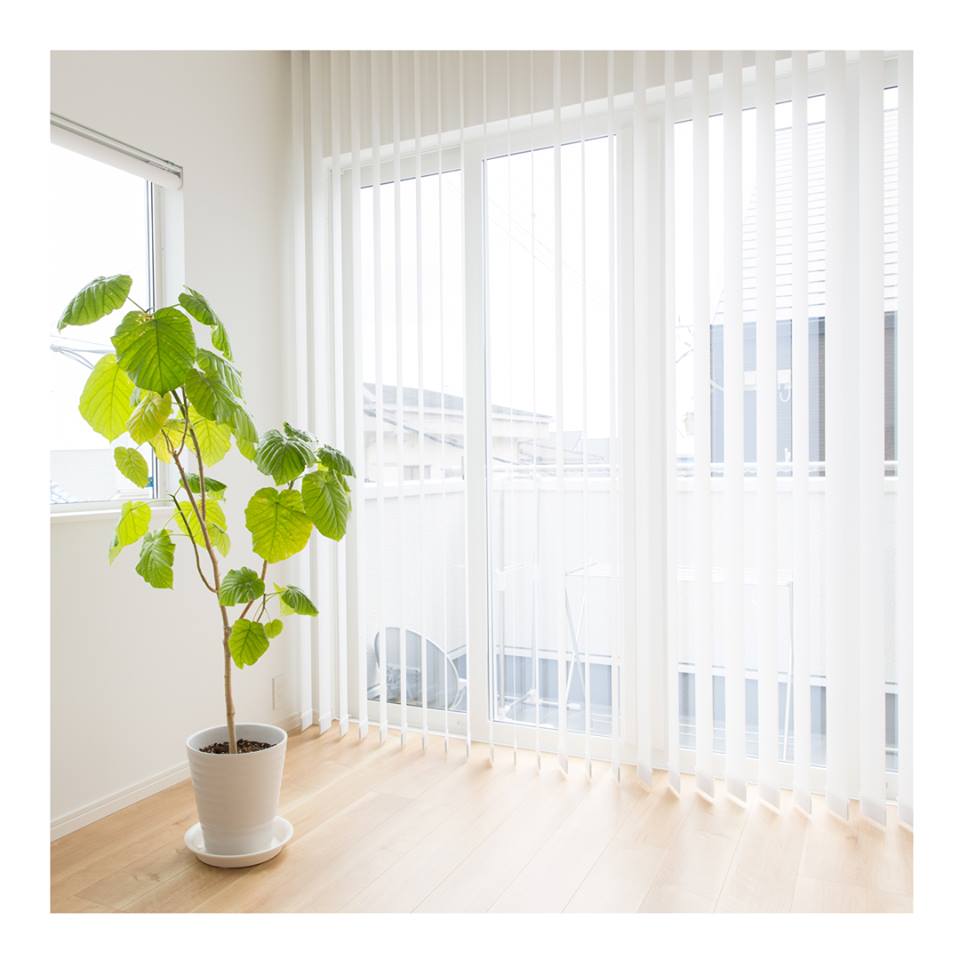 Wynstan - Blinds Doors Shutters Awnings | store | 484 Toorak Rd, Toorak VIC 3142, Australia | 0388258132 OR +61 3 8825 8132