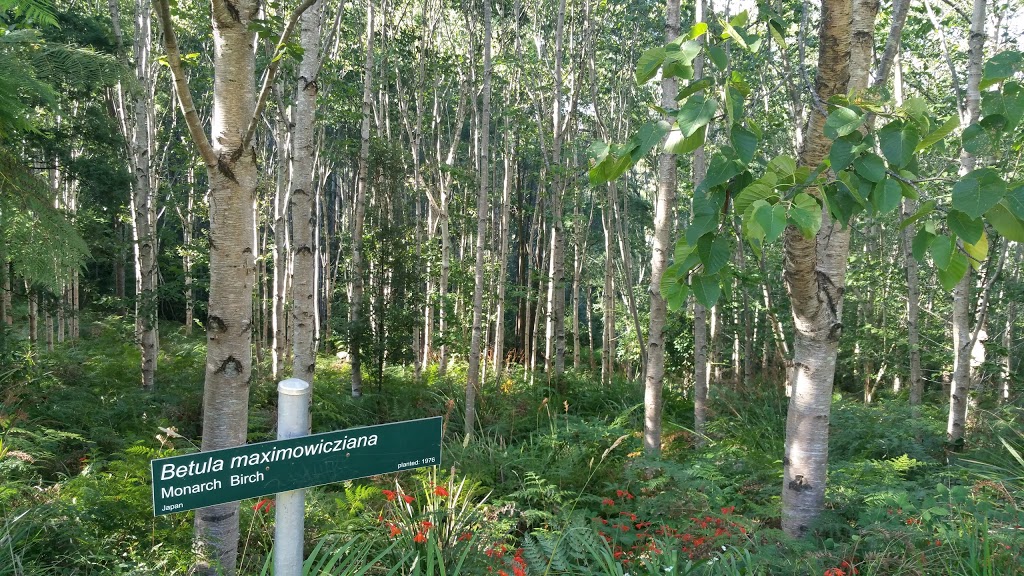 R.J. Hamer Arboretum | park | 10 Chalet Rd, Olinda VIC 3788, Australia | 131963 OR +61 131963