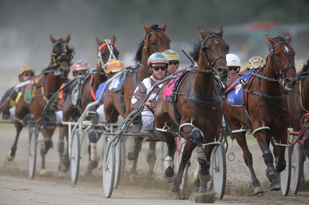 Goulburn Harness Racing Club | 47 Braidwood Rd, Goulburn NSW 2580, Australia | Phone: 0458 013 399