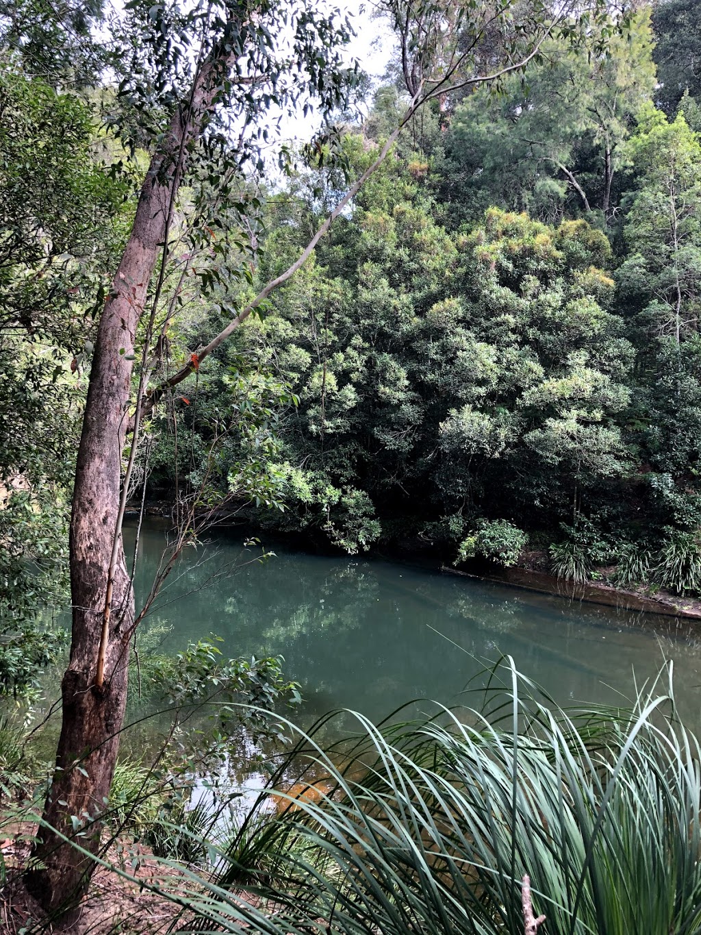 Gibberagong Track | park | Gibberagong Track, North Turramurra NSW 2074, Australia