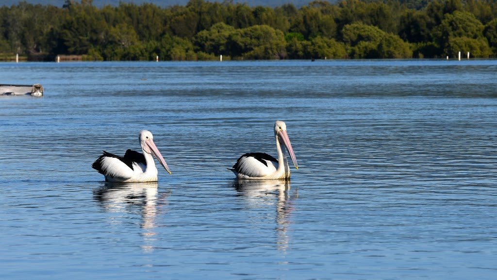 Diamond Waters Caravan Park | 152 Diamond Head Rd, Dunbogan NSW 2443, Australia | Phone: (02) 6559 9334