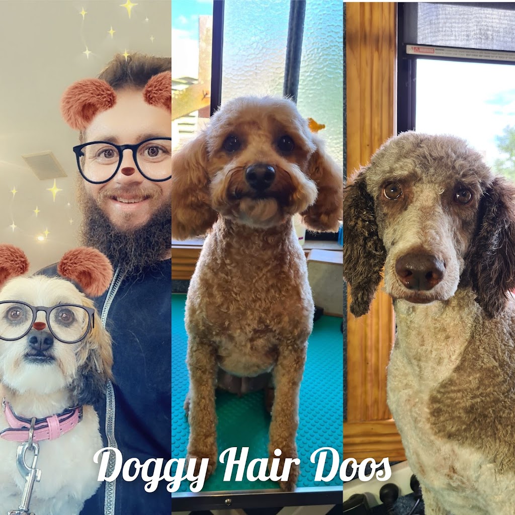 Doggy Hair Doos Dog Grooming Wynyard |  | 54 Mount Hicks Rd, Wynyard TAS 7325, Australia | 0436376733 OR +61 436 376 733