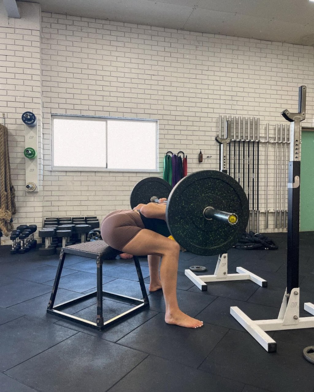 Coach Jo Taylor | Jungle Ballina, 28 Smith Dr, West Ballina NSW 2478, Australia | Phone: 0481 502 444 Coach Jo Taylor | Jungle Ballina, 28 Smith Dr, West Ballina NSW 2478, Australia | Phone: 0481 502 444