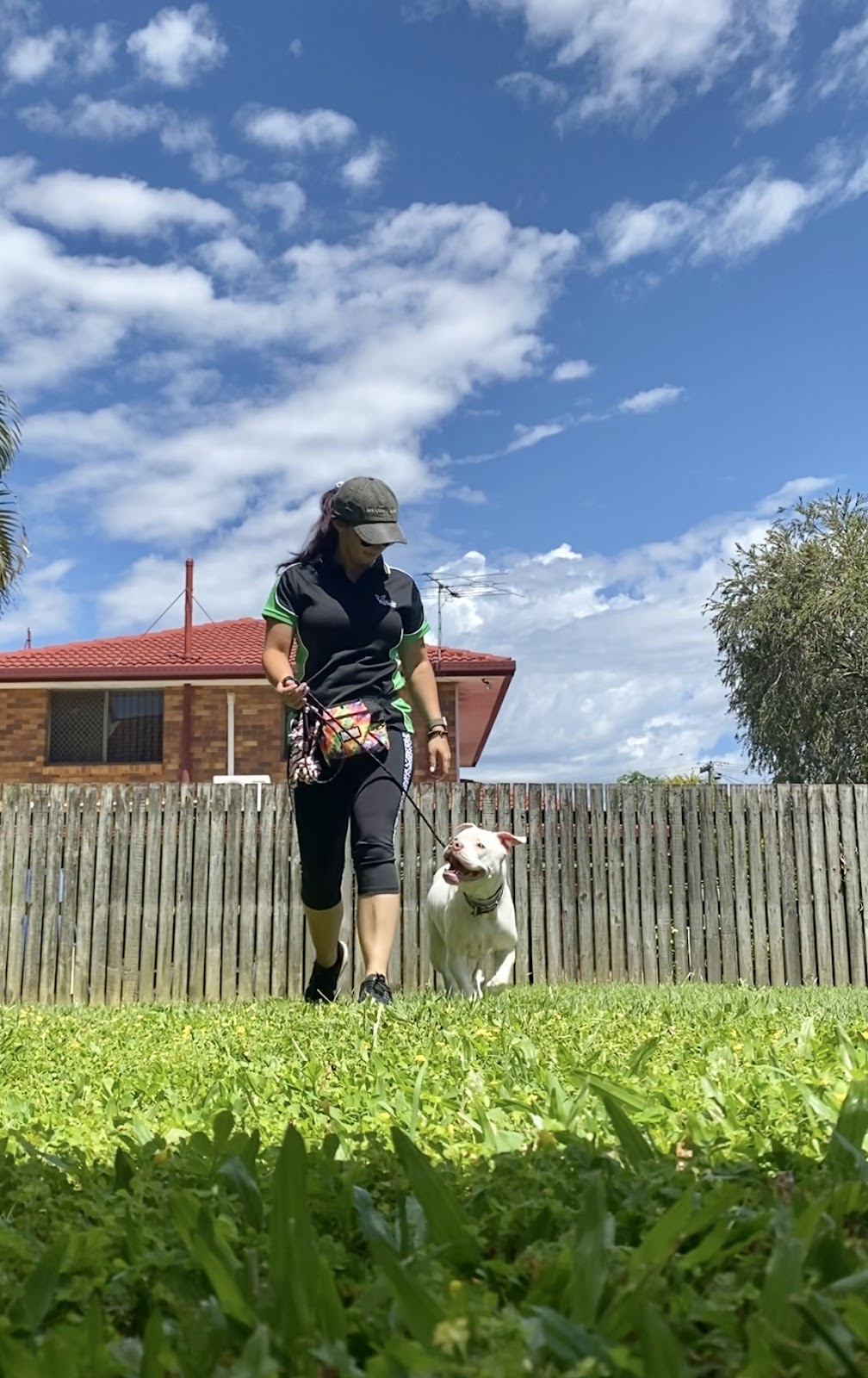 Bayside K9 Training | 36 Solway Cres, Carbrook QLD 4130, Australia | Phone: 0411 668 696