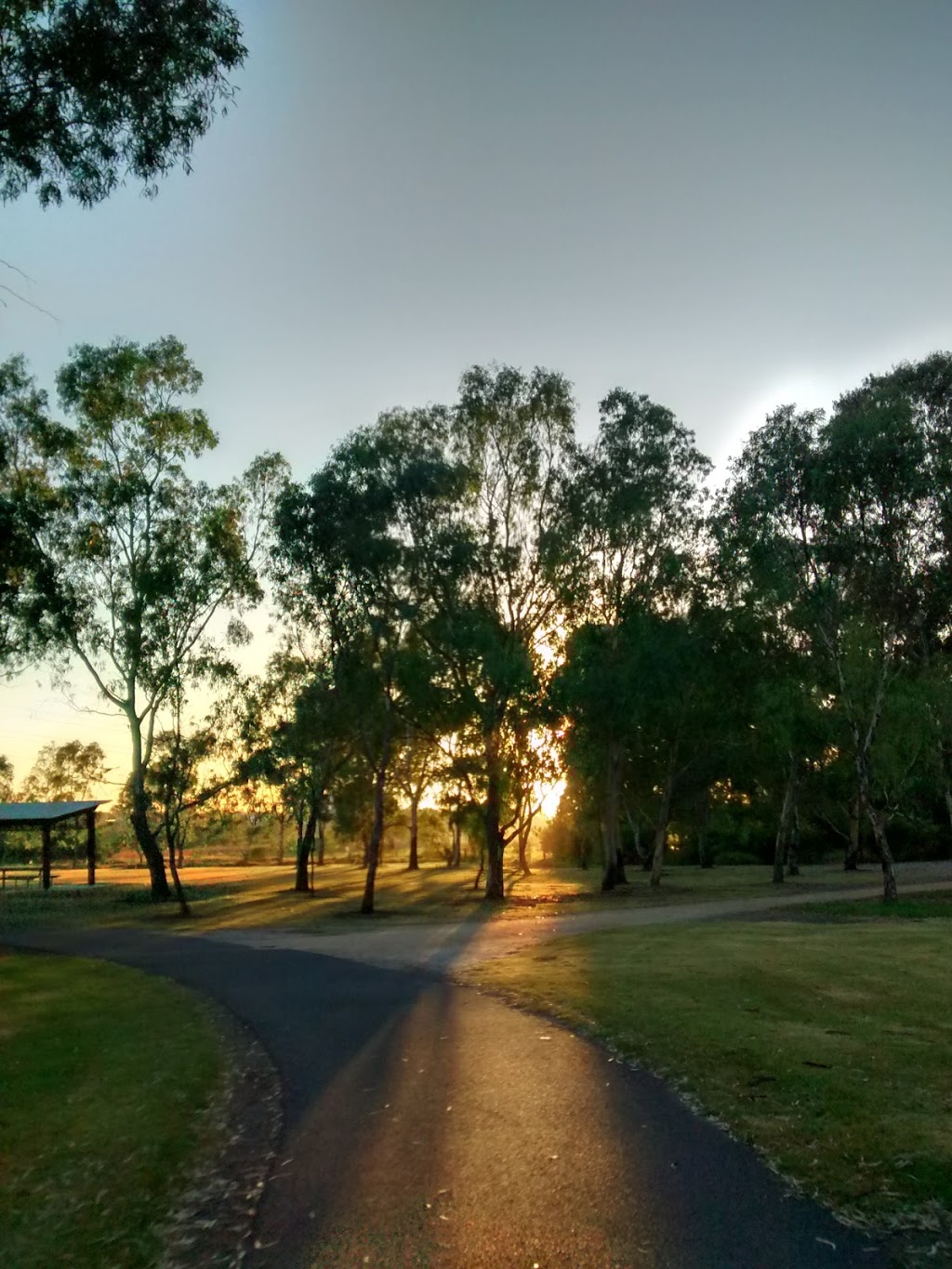 Newells Paddock Urban Nature Park | park | Footscray VIC 3011, Australia