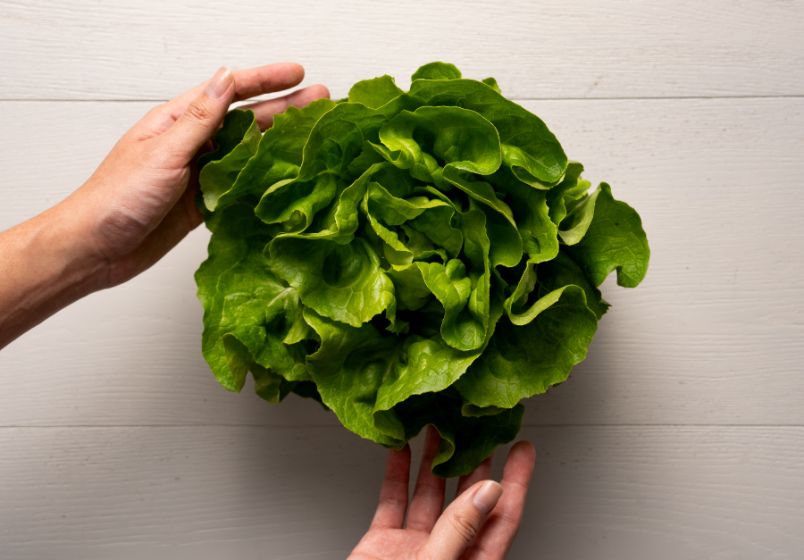 Windy Hills Farm NSW | 35 Sylvan Rd, Werombi NSW 2570, Australia | Phone: (02) 4653 2222