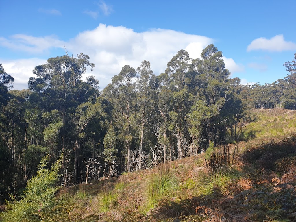 OGrady Falls | tourist attraction | Betts Vale Track, Wellington Park TAS 7054, Australia | 1300827727 OR +61 1300 827 727