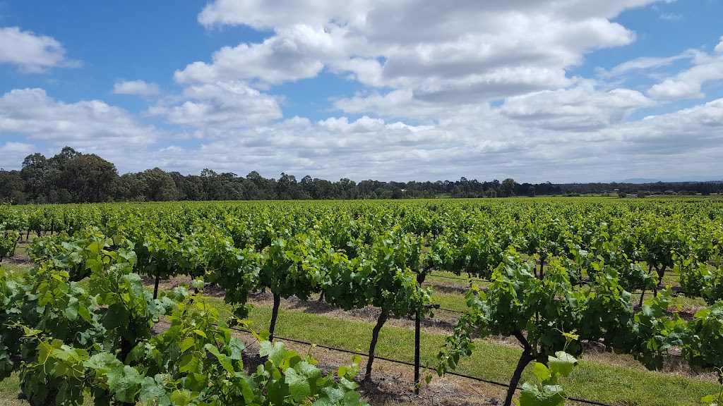 Leogate Estate Wines | tourist attraction | 1693 Broke Rd, Pokolbin NSW 2320, Australia | 0249987499 OR +61 2 4998 7499