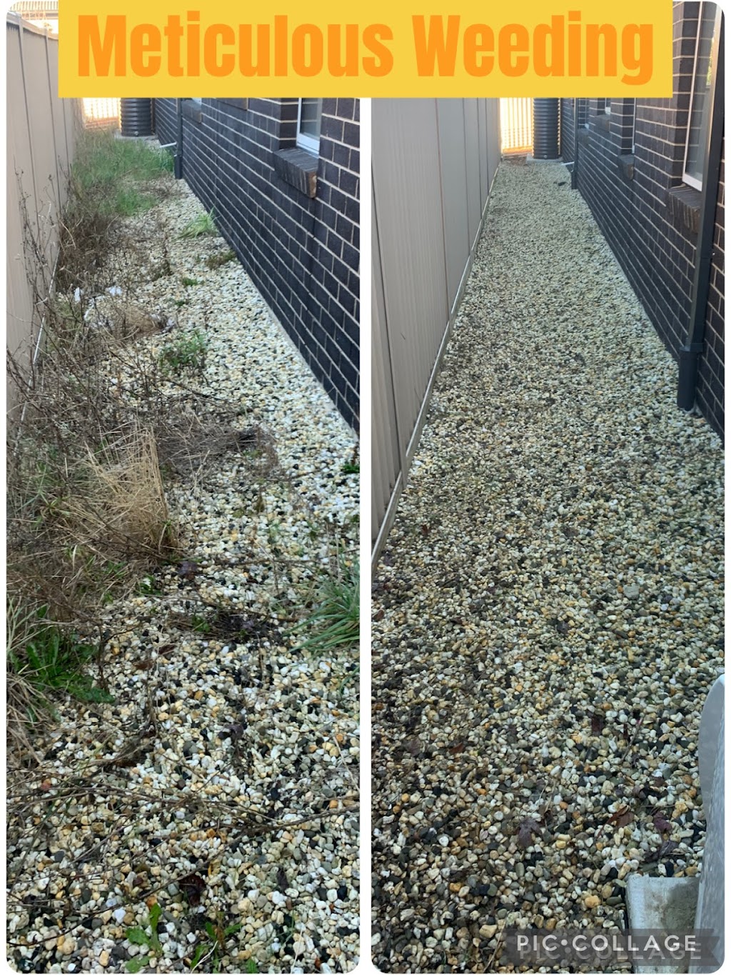 Jealous Neighbour Lawn Care | 15 Millbrook Rd, Bonshaw VIC 3352, Australia | Phone: 0468 342 002