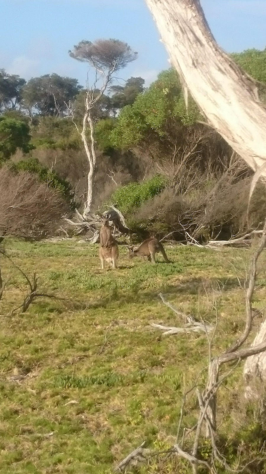 Gippsland Lakes Coastal Park | park | Victoria, Australia