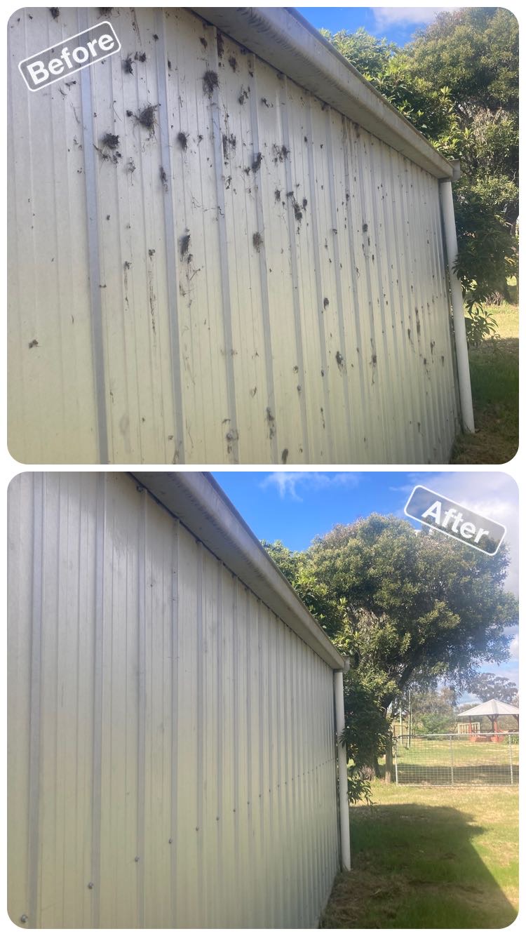 VortX Pressure Washing | 160 Scotts Rd, Tallarook VIC 3659, Australia | Phone: 0491 140 219