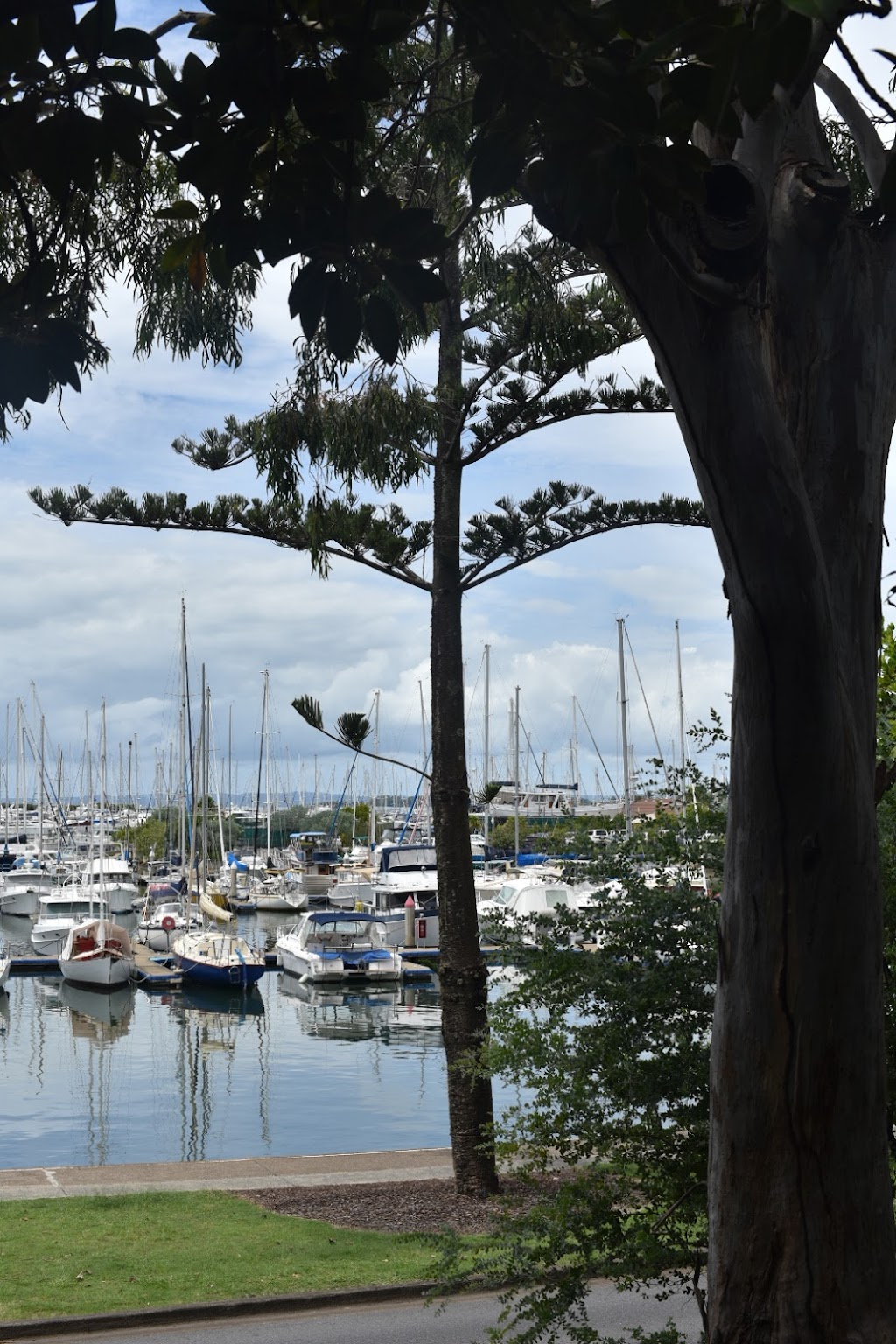 Wynnum Manly Yacht Club Marina | 542 Royal Esplanade, Manly QLD 4179, Australia | Phone: (07) 3396 4639