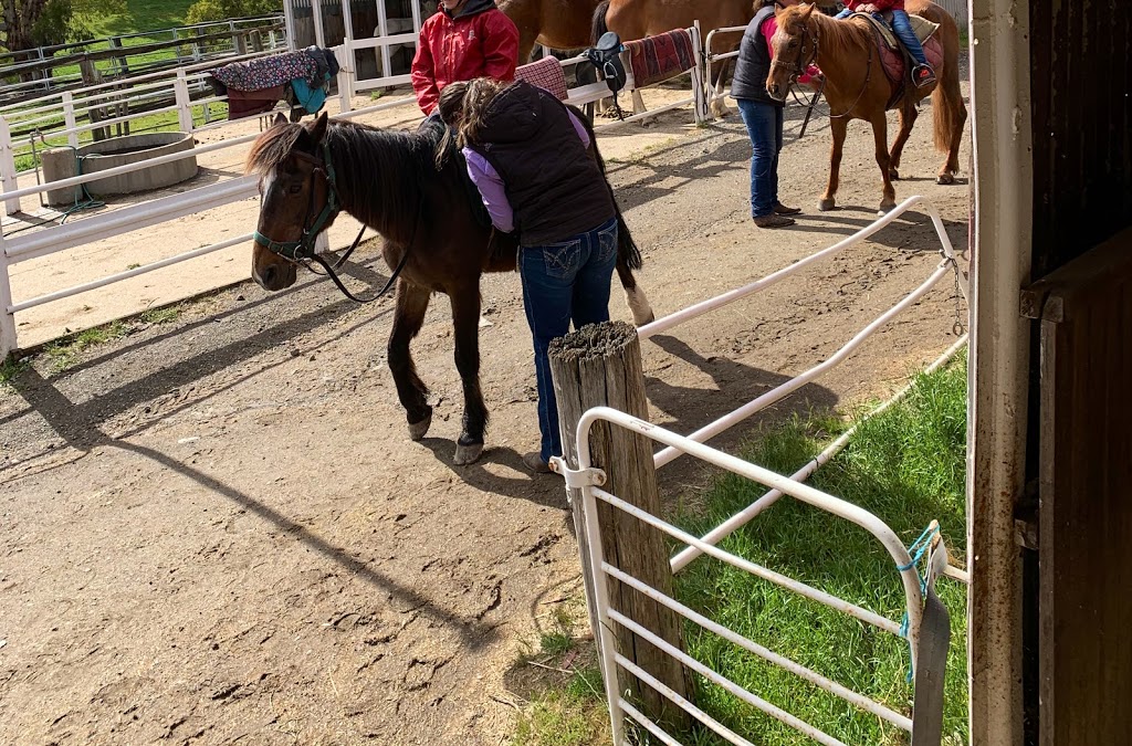 Boomerang Holiday Ranch | Boomerang Holiday Camp, 23 Tipperary Springs Rd, Daylesford VIC 3460, Australia | Phone: (03) 5348 2525